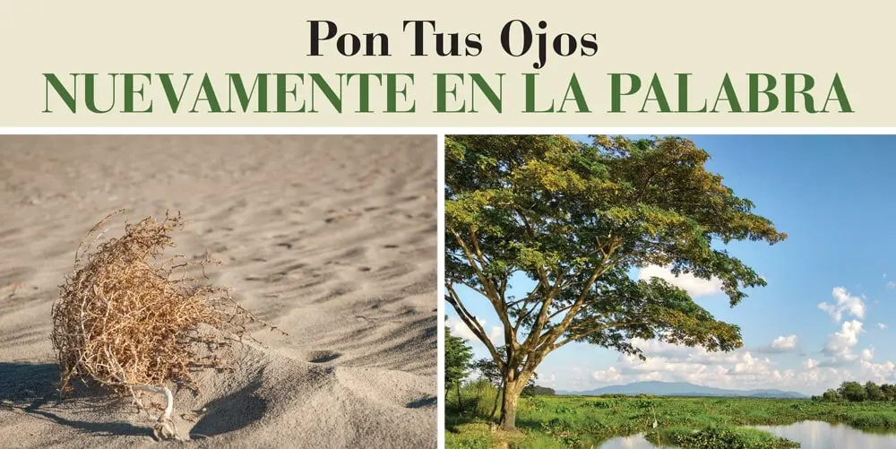 JESÚS ES NUESTRA SABIDURÍA,  ¡JESÚS ES NUESTRA FUENTE DE PROVISIÓN!