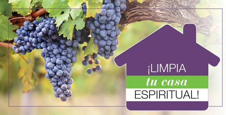 ¡EL GOZO DEL SEÑOR ES NUESTRA FORTALEZA!